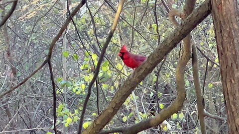 Winter wonderland in February