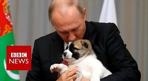 Putin got a puppy from Turkmenistan for his birthday - BBC News
