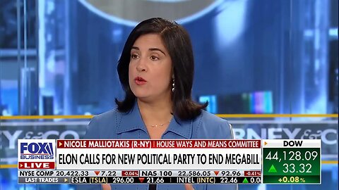 Rep. Nicole Malliotakis slams Elon Musk for trying to divide GOP