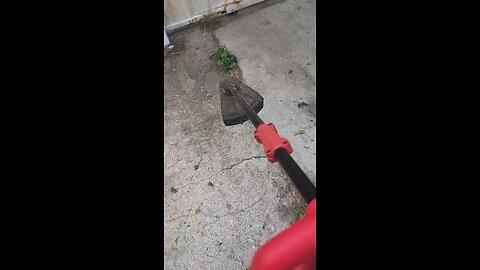 Doing some plant cutting