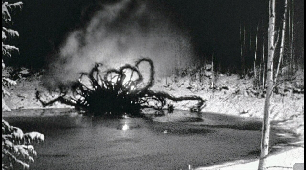 The Real Investigation Behind Blood Pond