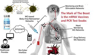The Plasmon Demon in the mRNA COVID Vaccines & the internet of bodies it hooks the jabbed up to