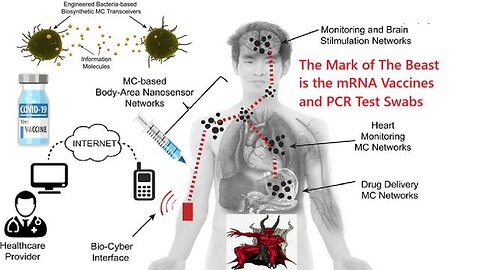 The Plasmon Demon in the mRNA COVID Vaccines & the internet of bodies it hooks the jabbed up to