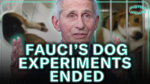 Fauci's Brutal Dog Experiments ENDED