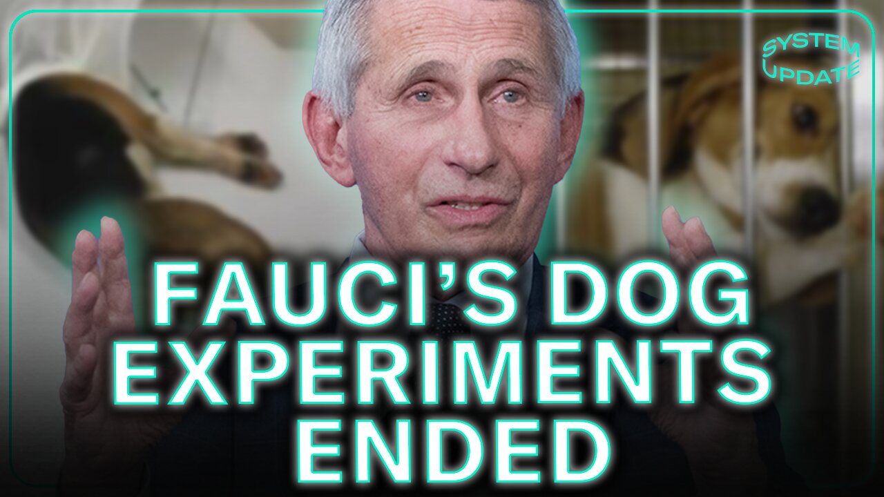 Fauci's Brutal Dog Experiments ENDED