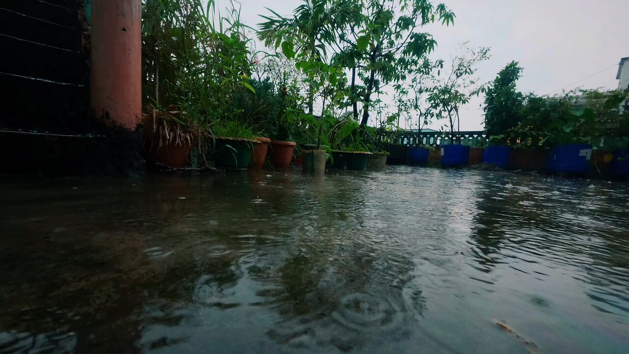ভেঙে মোর ঘরের চাবি নিয়ে যাবি কে আমারে ❤️