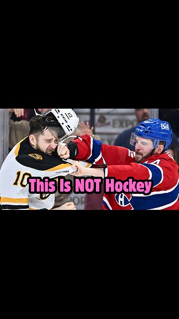Should Hockey BAN Fighting?
