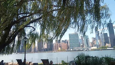Brews & Beers in LIC Queens Hunter's Point Park