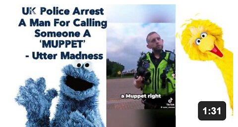 UK Police Arrest A Man For Calling Someone A ‘MUPPET’ - Utter Madness