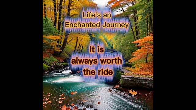 Life's Journey