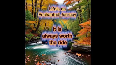 Life's Journey