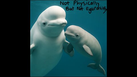 Not Physically But Not Figuratively Original Music Video