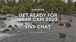 Get Ready for Bear Cam 2023