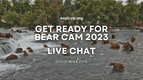Get Ready for Bear Cam 2023