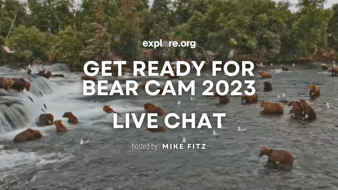 Get Ready for Bear Cam 2023