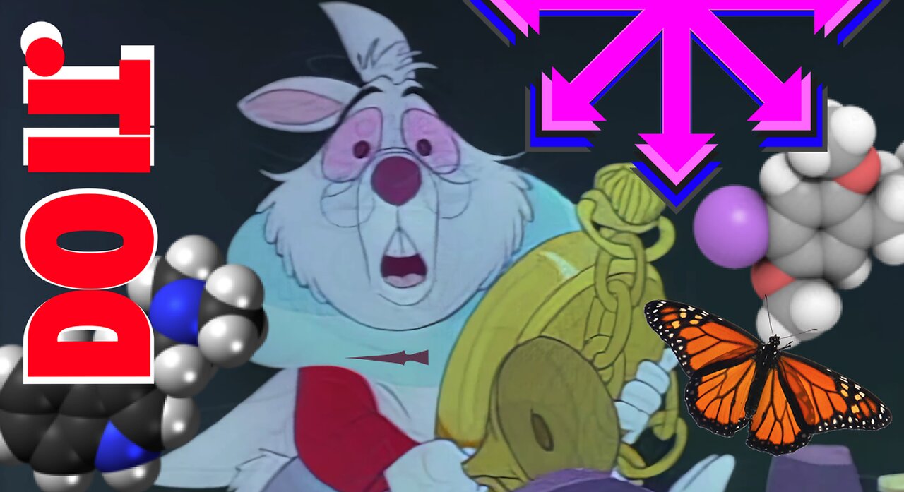 DCOMPOSEUR WHITE RABBIT DCOMPOSED