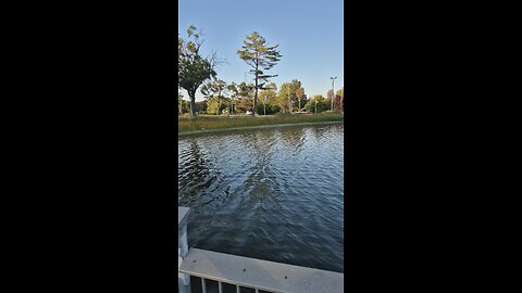 Went for a walk