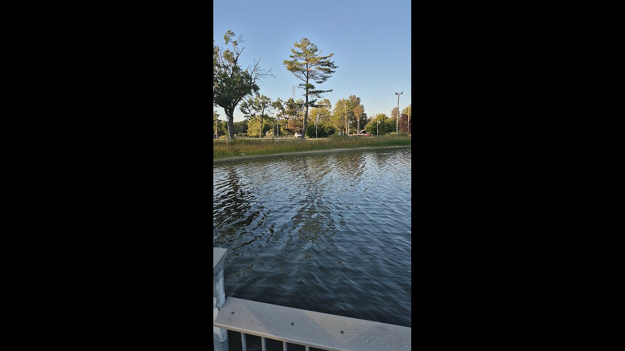 Went for a walk
