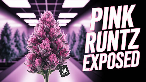 JK DISTRO | Pink runtz