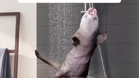 😂
