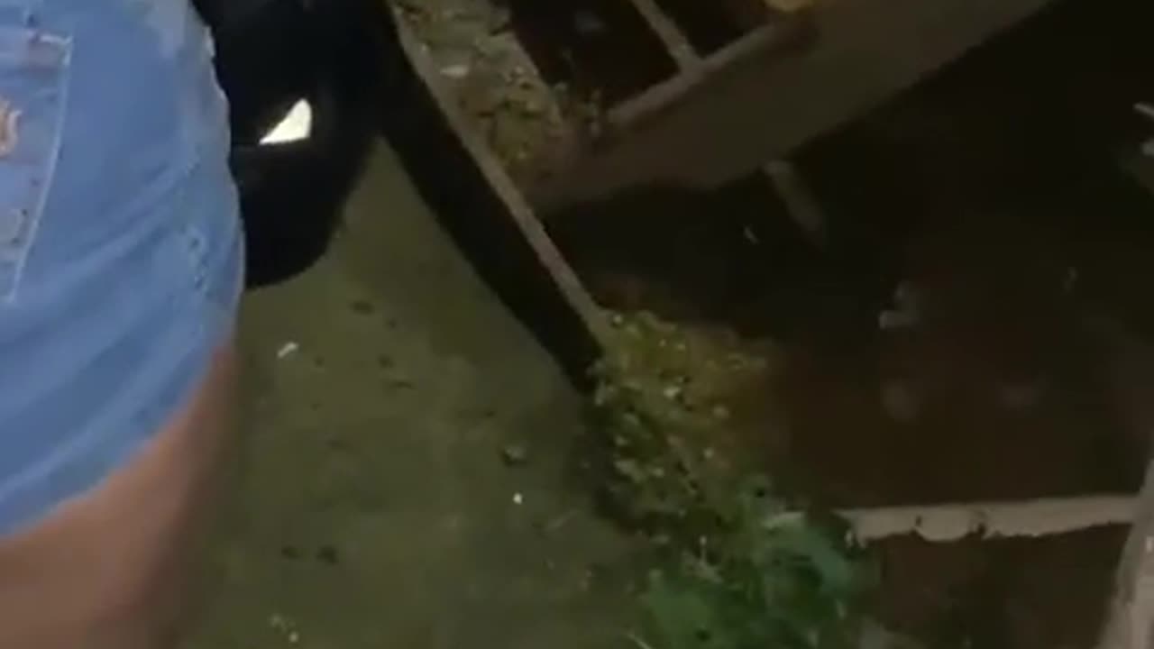 Favela girls fighting