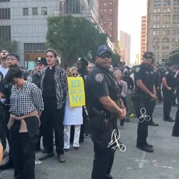 BREAKING: MASS ARRESTS of protesters who tried interfering and blocking ICE vehicles in NYC