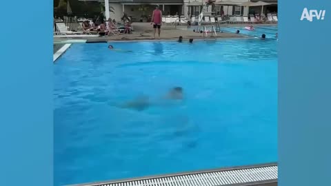 look at these guys! what are they doing