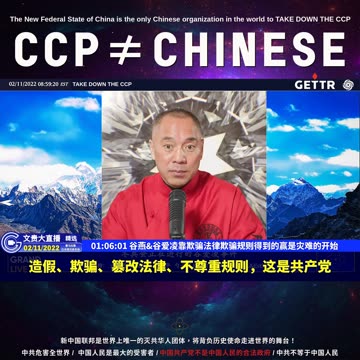 （14|60）谷燕,谷爱凌靠欺骗法律欺骗规则得到的赢是灾难的开始【2022年02月11日文貴大直播精选】