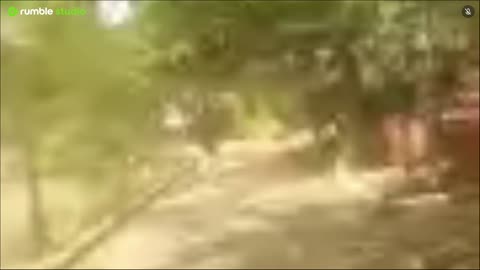 Indian govt school