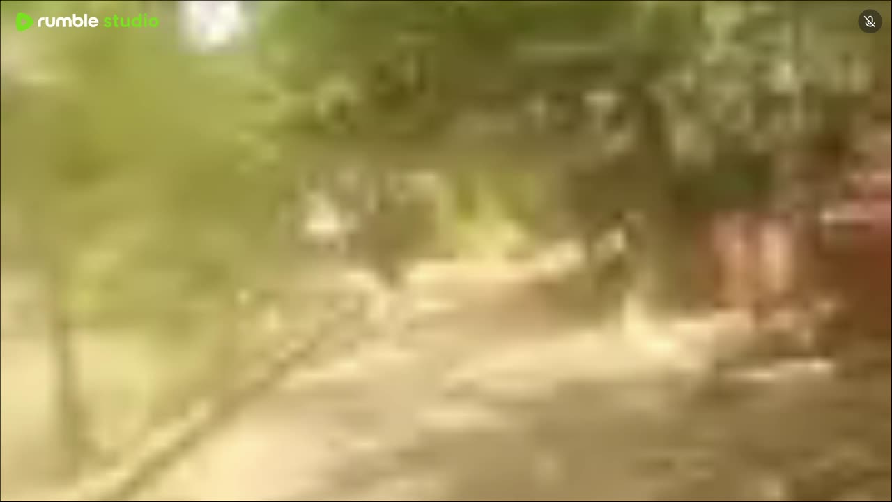 Indian govt school