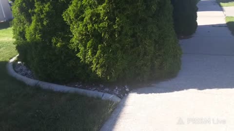 08/19/25 Tommy James VOD: "EBIKE IRL"
