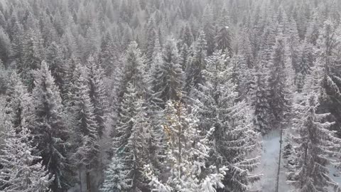 Soothing Music, Peaceful Music, Christmas Music, Silent Night