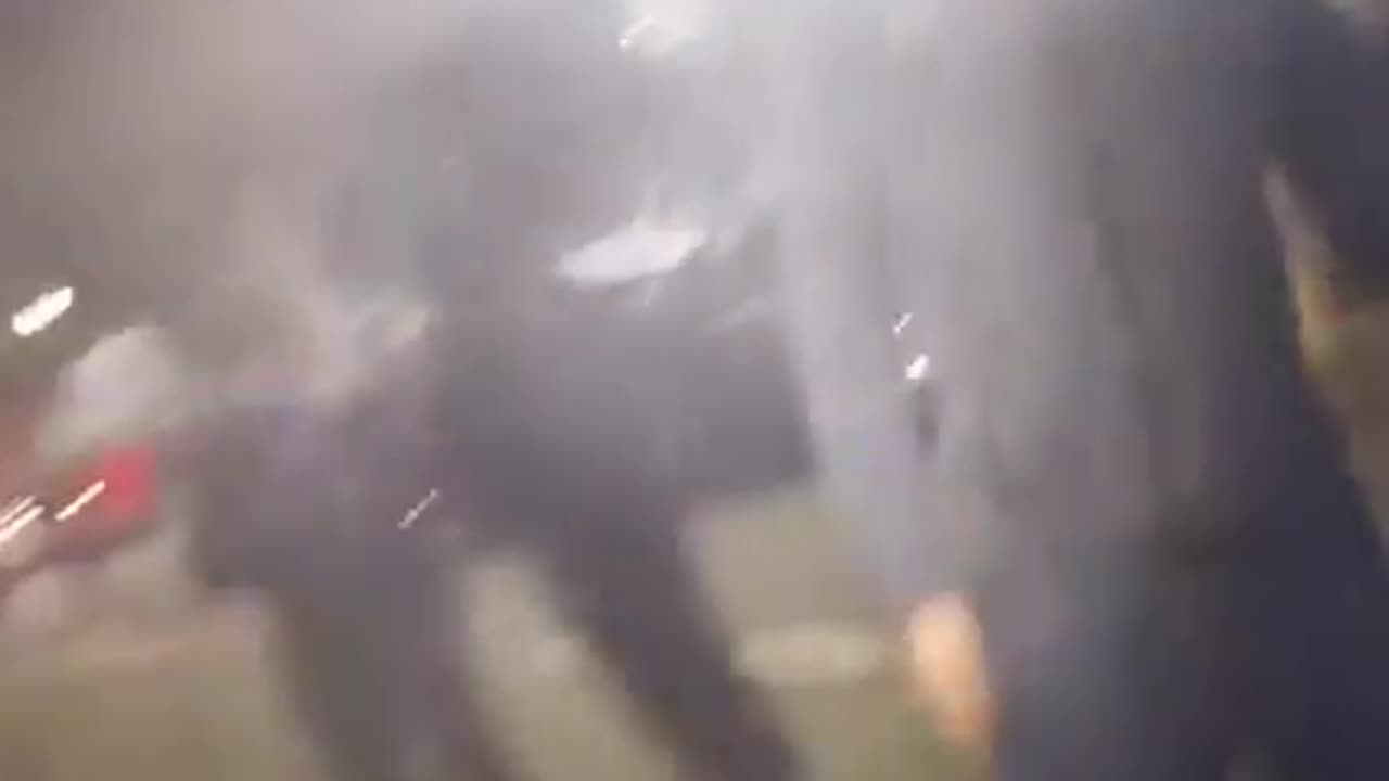 LA protests. Assaulting US officials while waving foreign flags