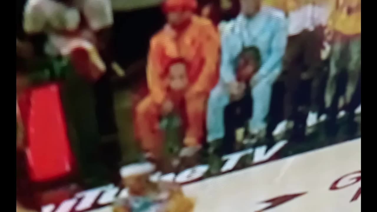 Harry and Lloyd at the Pacers game