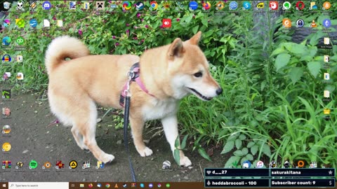 Scammers VS Infected Computer? Scambaiting Live!