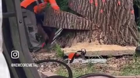 😂🌳 They Tried to Prevent the Tree from Dropping on the House, But... | FunFM