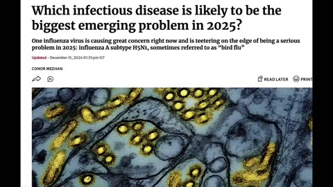 2025 IS THE YEAR OF THE SNAKE [REPTILE]