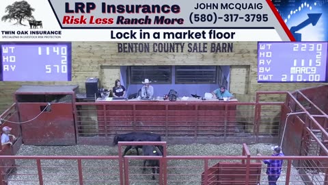 8/7/2025 - Cattle Auction - Benton County Sale Barn