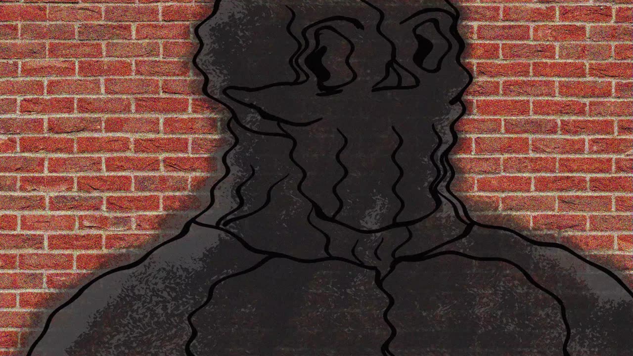 Skin On The Brick Walls