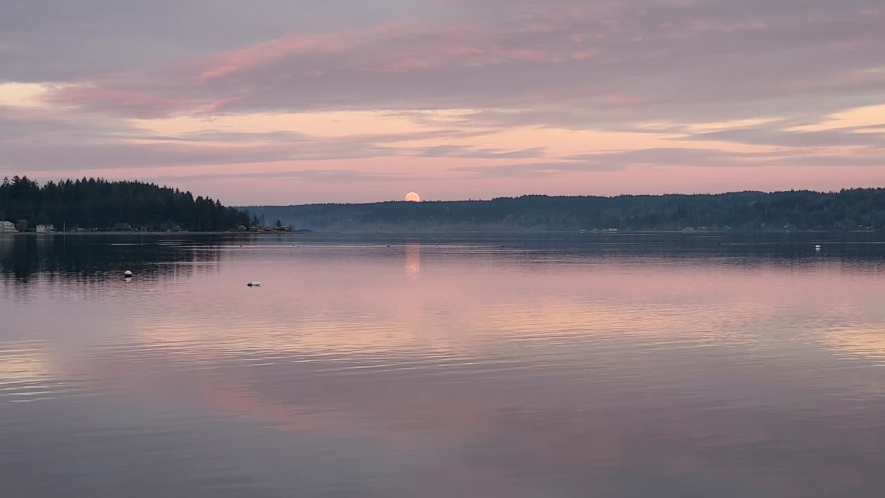 Moonrise Over the water