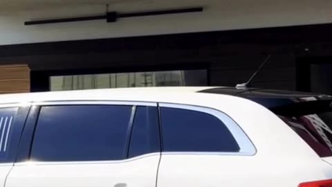 MegaLimo Wedding Limo Service in Chicago – Class Redefined