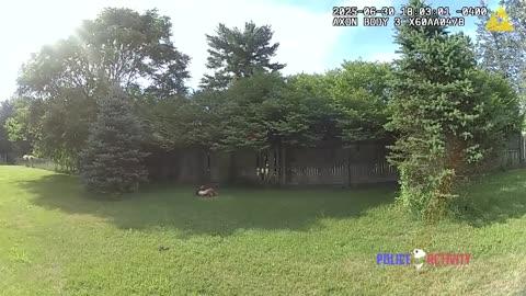 Bodycam Video Shows Suspect Fire at Michigan Deputy Before Being Shot