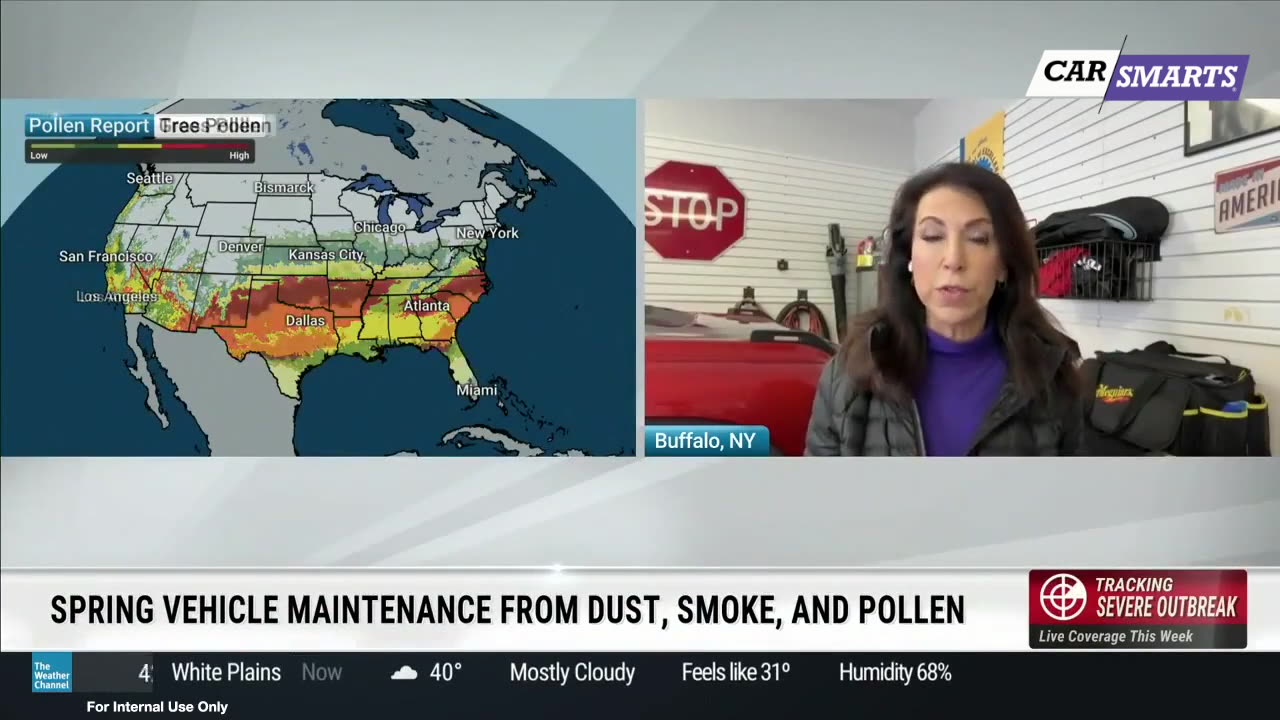 What you breathe so does your car! Spring Pollen Destroys Your Car!