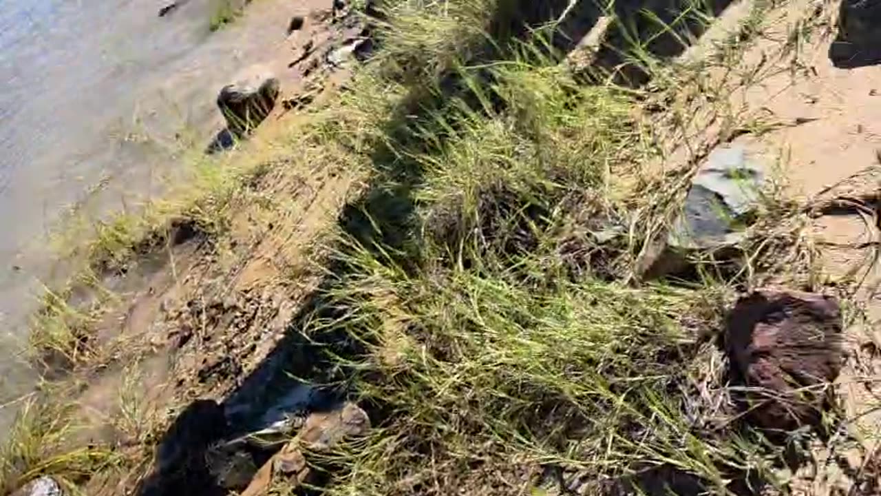 Exposed graves