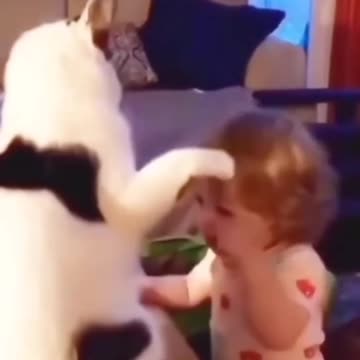 Funny Cats and Kids Moments خنده‌دارترین لحظات گربه‌ها و بچه‌ها