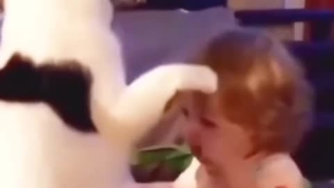Funny Cats and Kids Moments خنده‌دارترین لحظات گربه‌ها و بچه‌ها