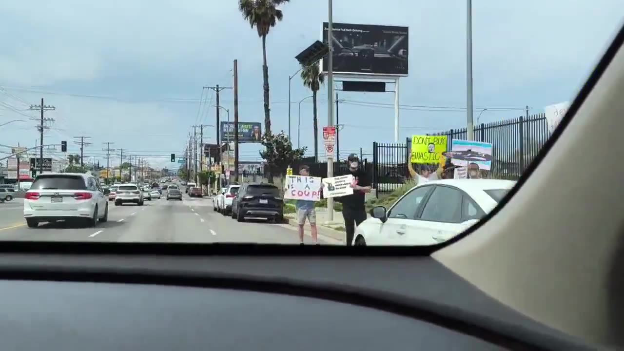 'Tesla Takeover' Protests Fail To Draw Large Crowds