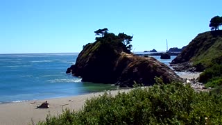 Almost a summer day 7/28/25: