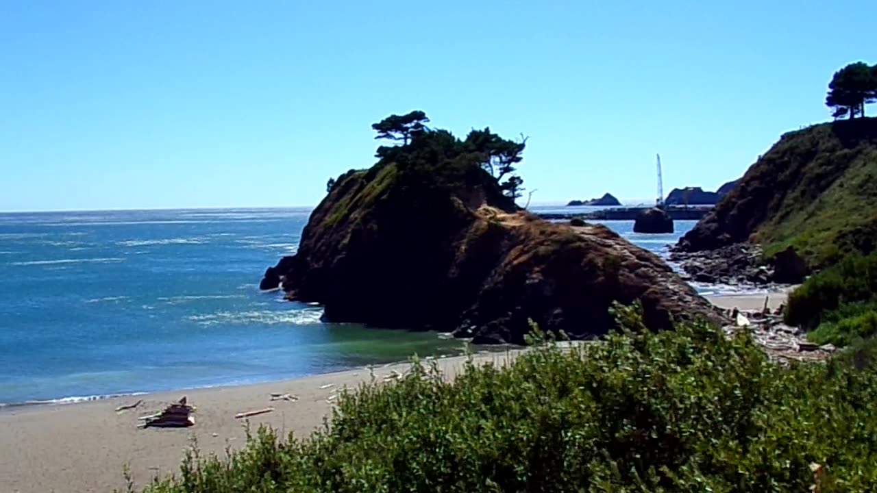 Almost a summer day 7/28/25: