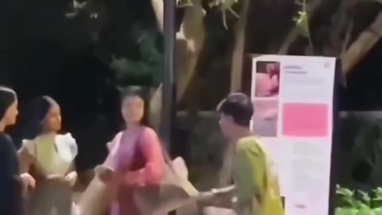 Funny videos
